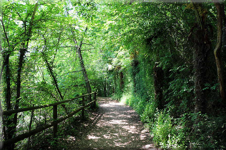 foto Santuario del Covolo